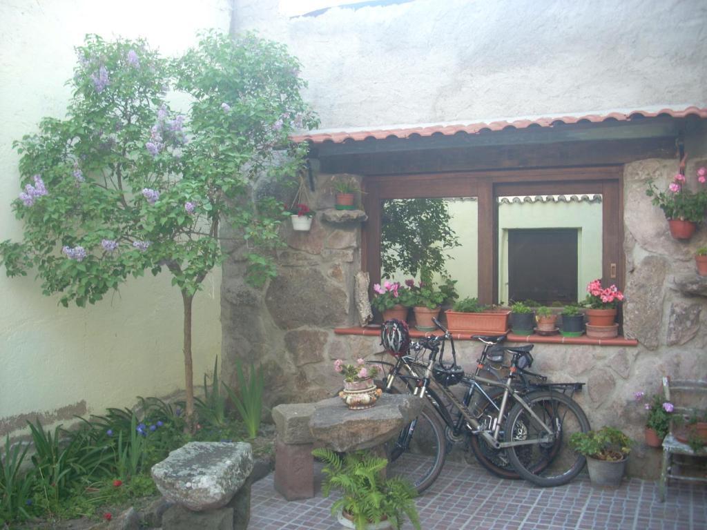 Bed and Breakfast Sa Rosa E Su Trapperi Oschiri Zewnętrze zdjęcie